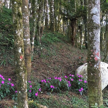Chales Vila Flor Gonçalves Exteriér fotografie